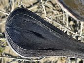 Blog foto 2 Aielle_s