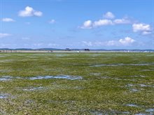 Klein zeegrasveld in Arachon (FR)_Laura Govers