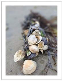 Blog HeleenAd 4