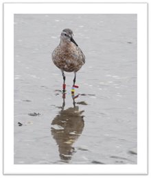 Blog HeleenAd 7