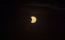 IMG_1342_1