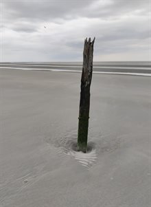 Foto 1. Strandpaal 11.50
