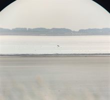 Foto 3. Strandpaal 10.25 L 3 - scheef