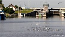 Bubble Barrier in het Van Harinxmakanaal bij Harlingen (foto: Beeldbank RWS)